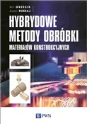 Hybrydowe ... - Wit Grzesik, Adam Ruszaj -  Polish Bookstore 