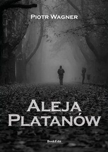 Picture of Aleja Platanów