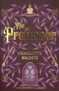 Picture of The Professor