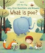 Książka : What is po... - Katie Daynes