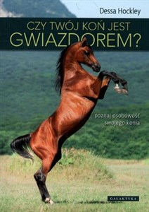 Picture of Czy twój koń jest gwiazdorem? poznaj osobowość swojego konia