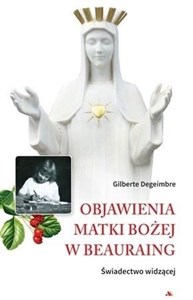 Picture of Objawienia Matki Bożej w Beauraing