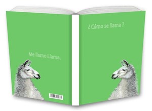 Picture of Notes Gee Lama kratka NARCISSUS