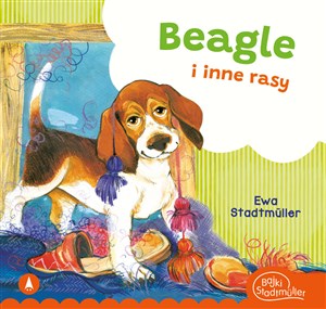 Obrazek Beagle i inne rasy
