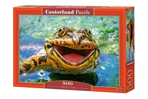 Obrazek Puzzle Green & Fun 500