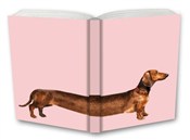 polish book : Notes Gee ...