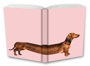 Picture of Notes Gee Overgrown kratka NARCISSUS