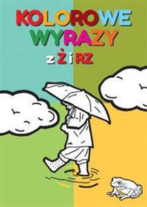 Picture of Kolorowe wyrazy z Ż i RZ