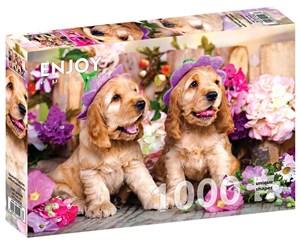 Picture of Puzzle 1000 Szczenięta rasy Cocker Spaniel