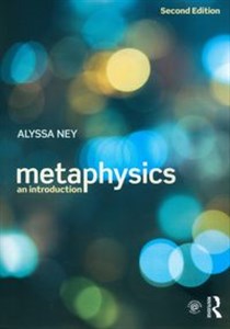 Picture of Metaphysics An Introduction