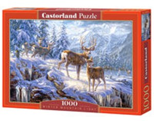 Picture of Puzzle Winter mountain light 1000