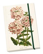 Notatnik o... -  foreign books in polish 