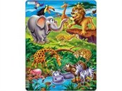 Safari -  books from Poland