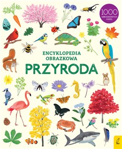 Picture of Encyklopedia obrazkowa Przyroda