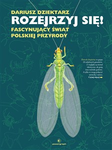 Obrazek Rozejrzyj się! Fascynujący świat polskiej przyrody
