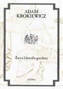 Zarys filo... - Adam Krokiewicz -  books in polish 