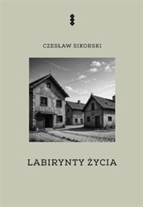 Obrazek Labirynty życia