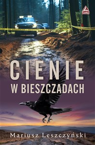 Picture of Cienie w Bieszczadach