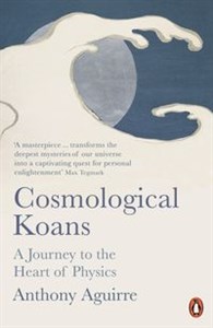 Picture of Cosmological Koans A Journey to the Heart of Physics