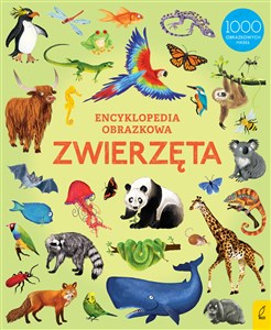 Picture of Encyklopedia obrazkowa Zwierzęta