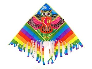 Picture of Latawiec Sowa