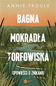 Obrazek Bagna, mokradła, torfowiska. Opowieści o znikaniu