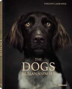 Picture of The Dogs Human Animals