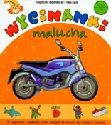 Wycinanki ... -  books in polish 