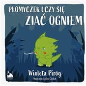 polish book : Płomyczek ... - Wioleta Piróg