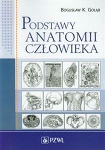 Picture of Podstawy anatomii człowieka