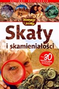 Skały i sk... - Ben Morgan -  books from Poland