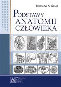 Picture of Podstawy anatomii człowieka Podręcznik dla studentów