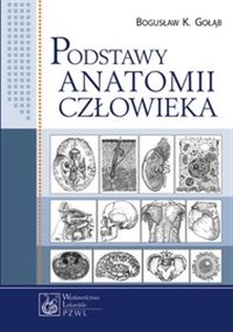 Obrazek Podstawy anatomii człowieka Podręcznik dla studentów