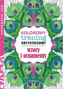 Picture of Wzory i ornamenty Kolorowy trening antystresowy