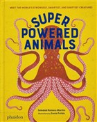 polish book : Superpower... - Soledad Romero Marino