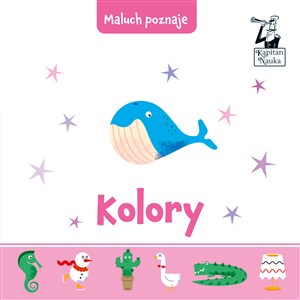 Picture of Maluch poznaje Kolory