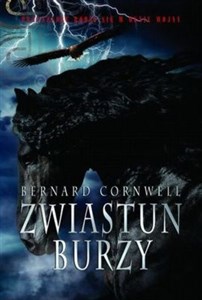 Picture of Zwiastun burzy