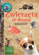 polish book : Zwierzęta ... - Izabela Brańska-Oleksy