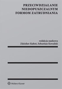 Obrazek Przeciwdziałanie niedopuszczalnym formom zatrudniania