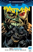polish book : Batman - J... - Tom King, David Finch, Danny Miki, Jordie Bellaire