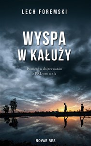 Obrazek Wyspa w kałuży