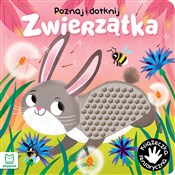 Poznaj i d... - Grażyna Wasilewicz -  foreign books in polish 