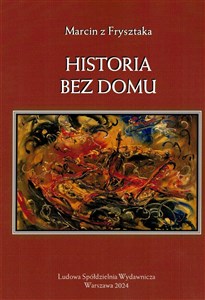 Picture of Historia bez domu