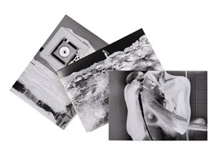 Picture of Negative book