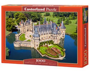 Obrazek Puzzle Château of the Loire Valley 1000