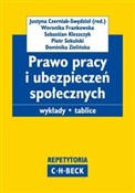 Prawo prac... - Justyna Czerniak-Swędzioł -  books from Poland
