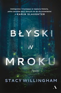 Obrazek Błyski w mroku