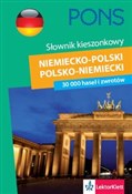 Słownik ki... -  books in polish 