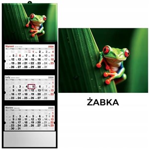 Picture of Kalendarz 2026 trójdzielny żaba
