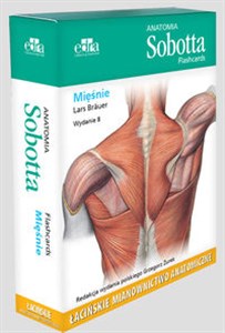 Obrazek Anatomia Sobotta Flashcards Mięśnie Łacińskie mianownictwo anatomiczne